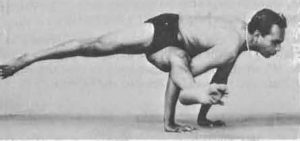 Eka Pada Kauṇḍinyāsana I. El Sabio Kauṇḍinya